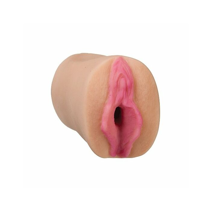 Todas as estrelas estrela pornô - Dana DeArmond