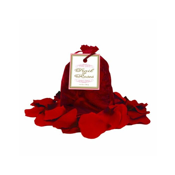 Trilha de pétalas de rosas vermelhas