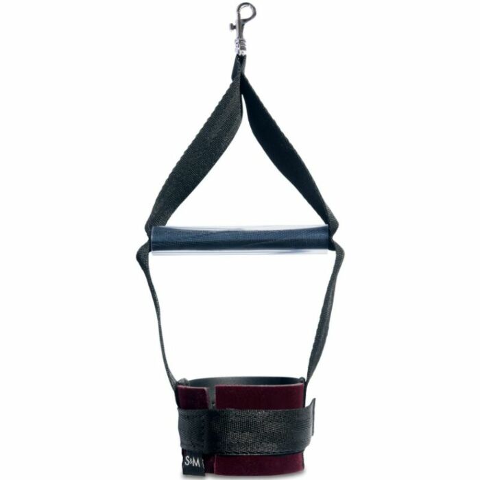 Sex & mischief esposas enchanted