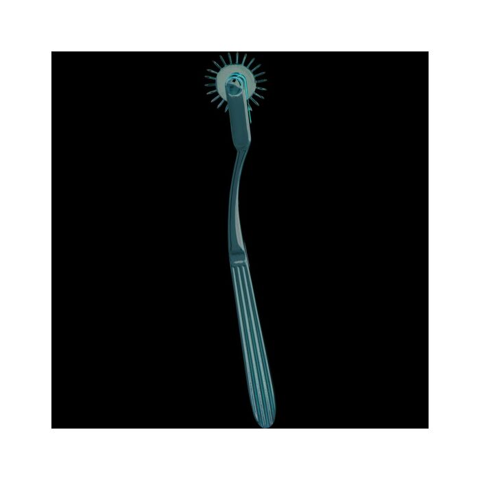 Seduzir roda paixão