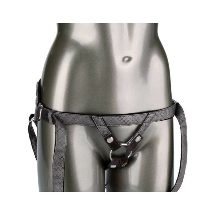 A princesa real - gris