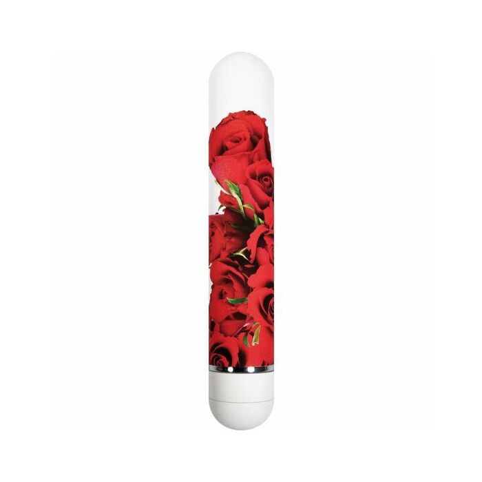 canteiro de flores vibrador de rosas