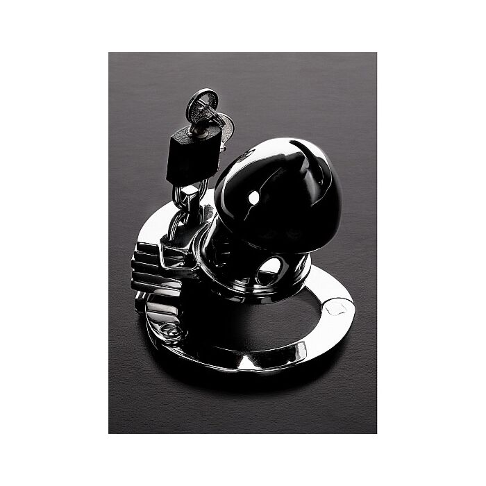 O pássaro da prisão - acero inox