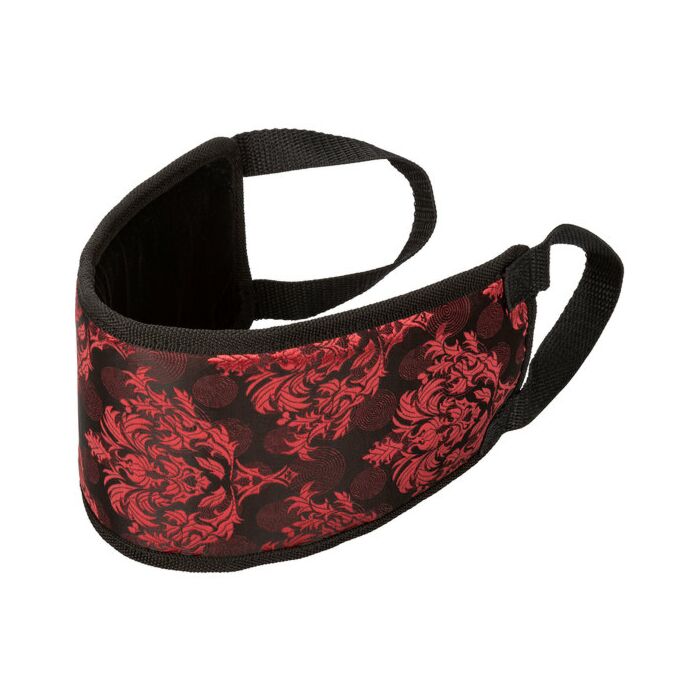 Bj escândalo mordaça