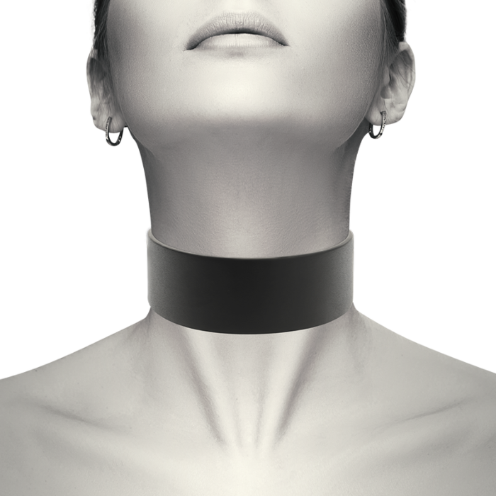 Choker Vegano Coquette Chic
Colar Vegano Coquette Chic