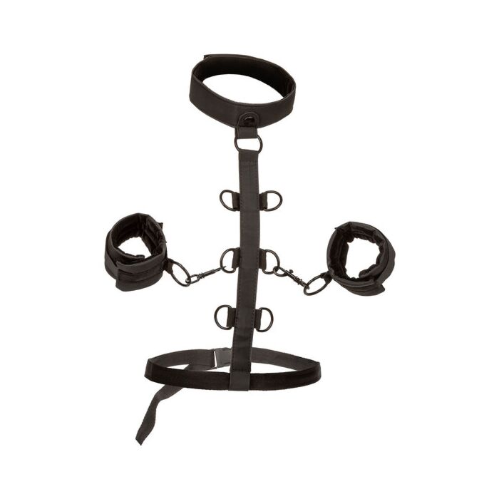 Arnês de Restrição Ilimitada