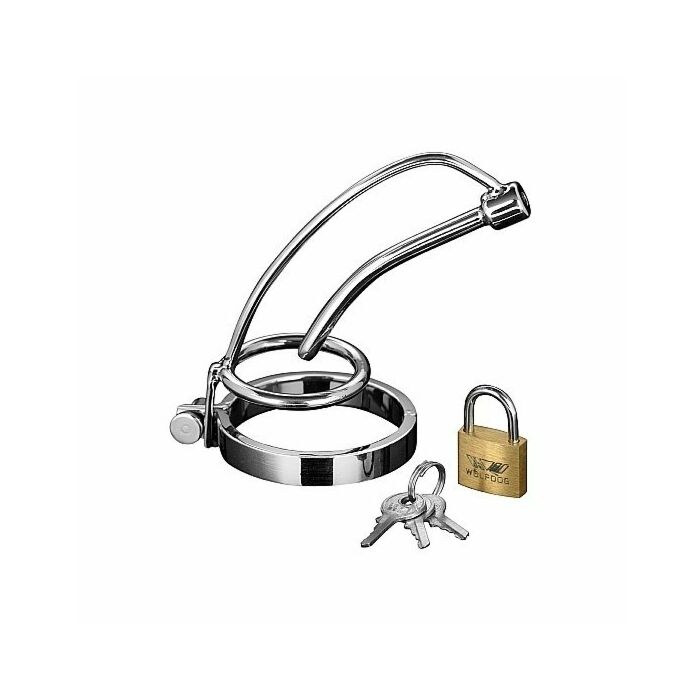 Asylum - urehtral brace