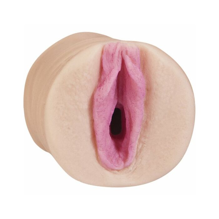 Todos os mini estrelas pornô estrela bichano Faye Reagan