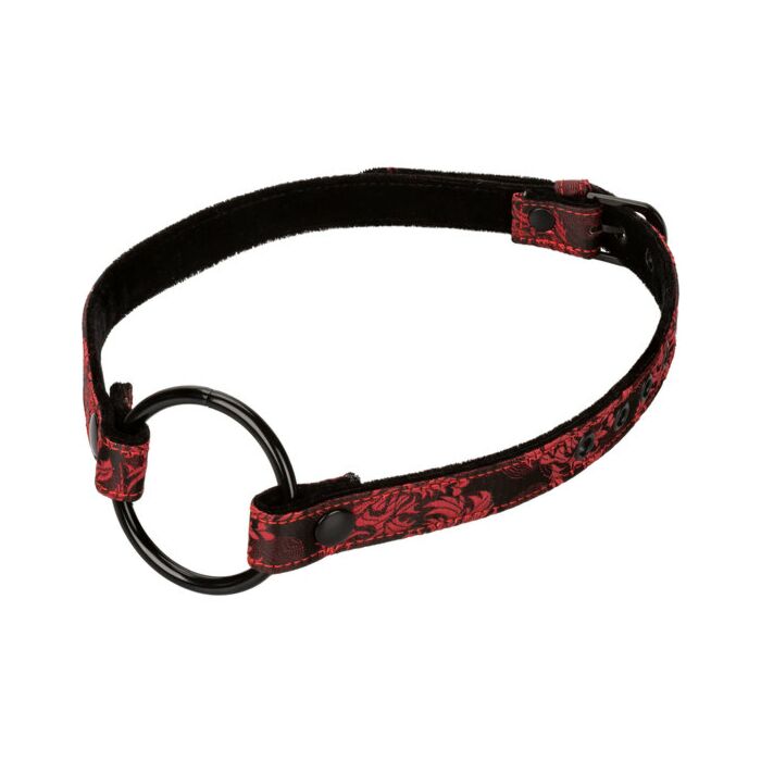 Escândalo mordaça de boca aberta