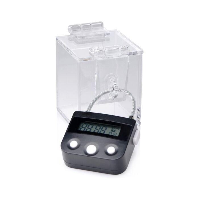 O porta-chaves deluxe caixa com cadeado - transparente