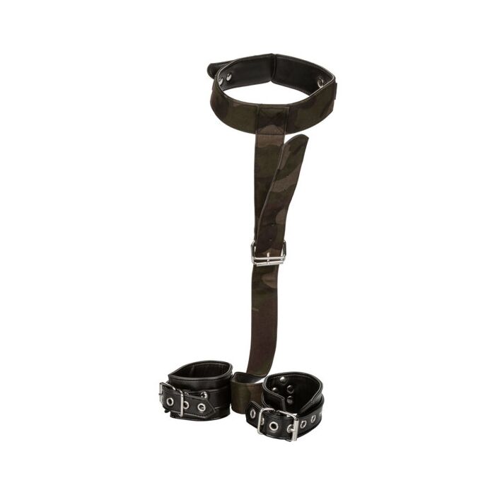 Colt camuflagem e algemas