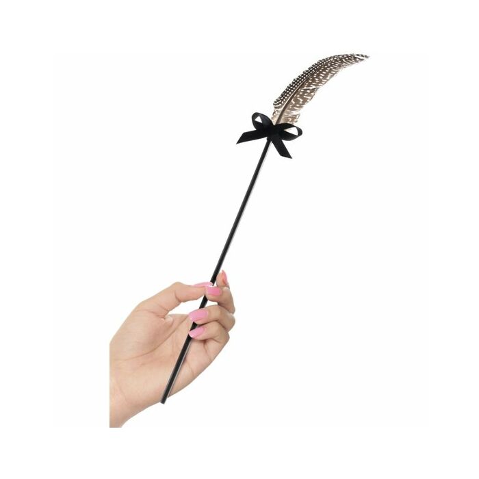 cadeias CHICOTE Fetish fantasia