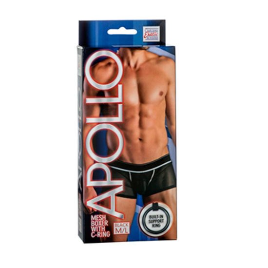 boxer Apollo com anel